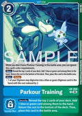 Parkour Training (LM-058)